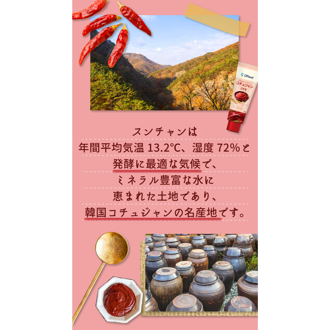 発酵に最適な気候でミネラル豊富な水に恵まれた土地であり、韓国コチュジャンの名産地