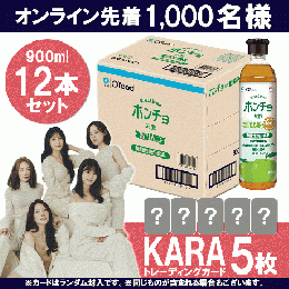 【KARA限定トレカ付き】ホンチョ 選べるフレーバー12本セット＜先着1000名様限定＞